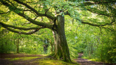 The Government previously commissioned an independent review, with a global remit, into quantifying the economic benefits of biodiversity